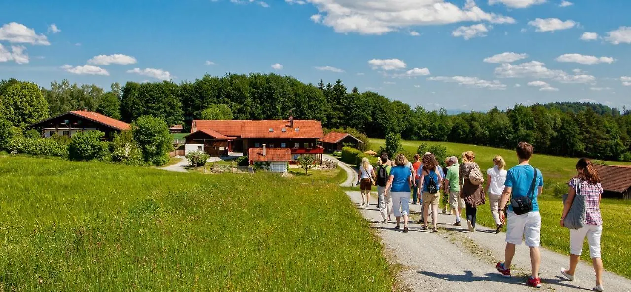 ***  Hotel Sankt Leonhard - Dein Wohlfuehlort Zum Loslassen Und Kraftschoepfen باد بيرنباخ ألمانيا